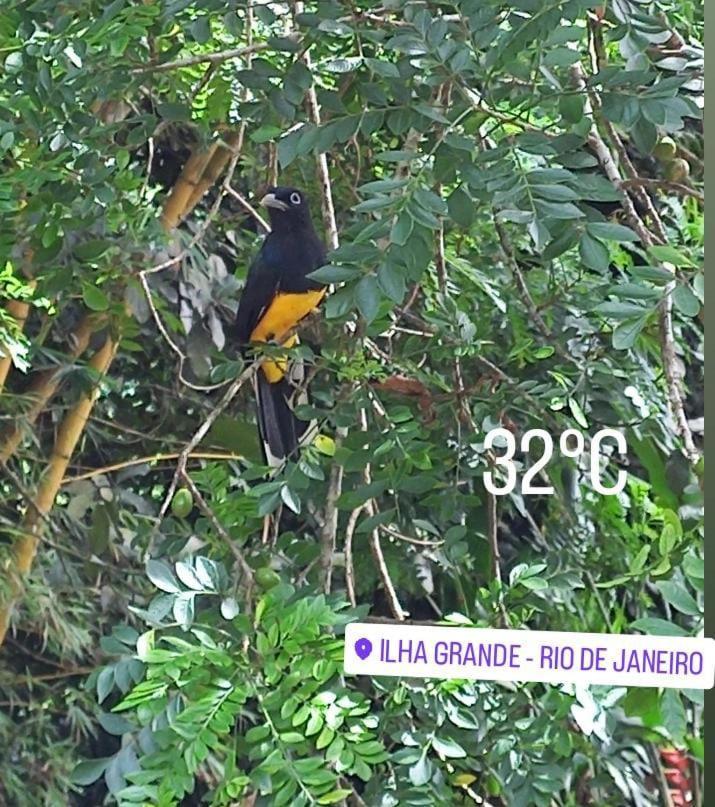 Bangalo Na Acqua Jungle Lodge Abraão Exteriér fotografie